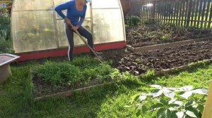 6 соток 25 августа 2025 года. Хроника.