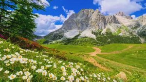 The Earth in Ultra  Epic Dolby Vision Compilation of Earth’s Beauty Friday Energy 2025 ☀️ Morning Vi