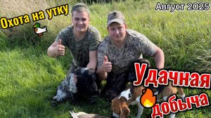 Охота на утку с подхода 2025🦆
