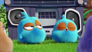 Angry Birds. Пушистики. Сезон 1