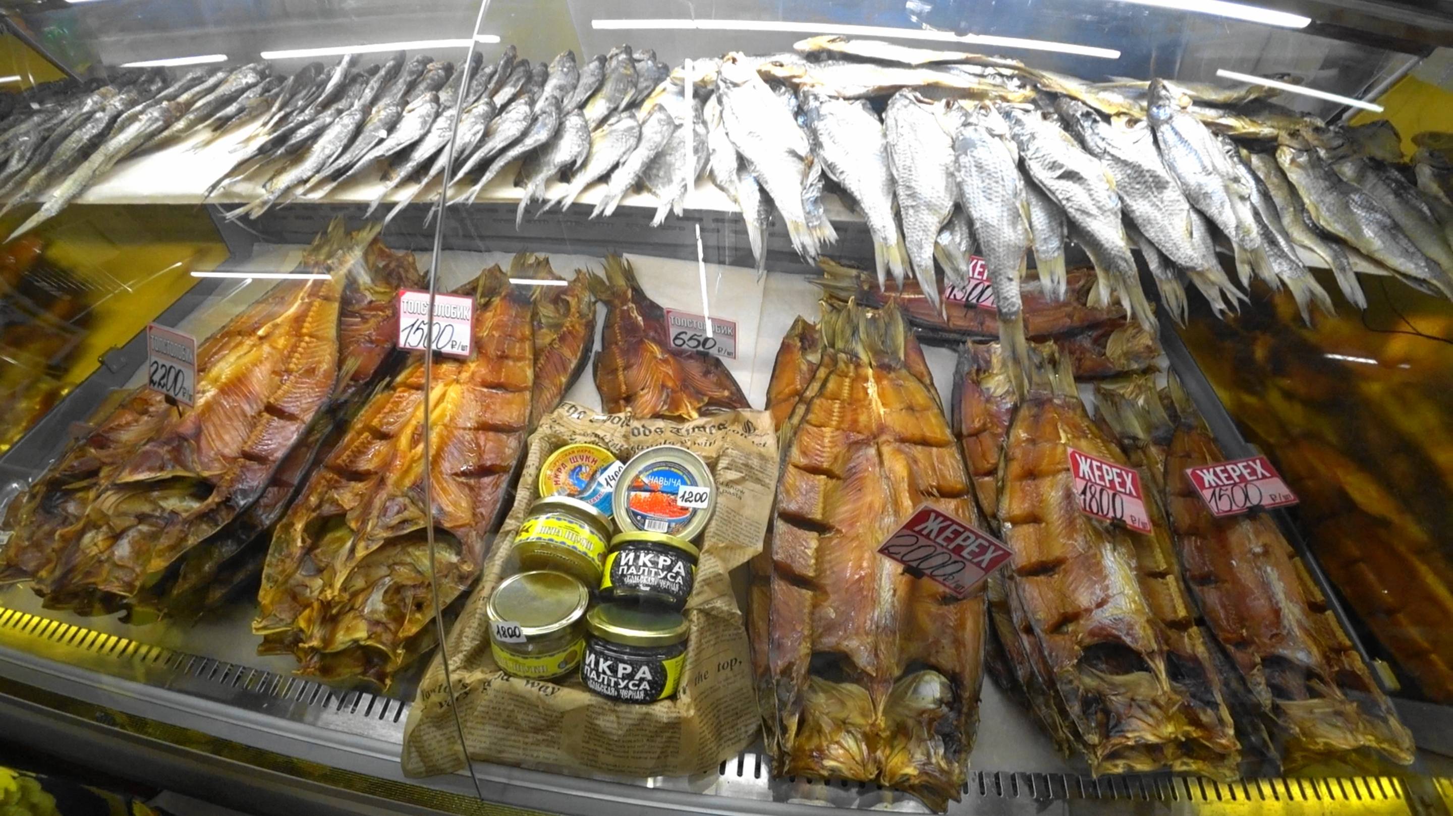 ПОЕЗД 85. МОСКВА-МАХАЧКАЛА. ПРОЕХАЛИ АСТРАХАНЬ. ПРИЕХАЛИ В ДАГЕСТАН. смотреть онлайн