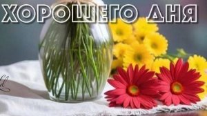 27-08-2025 Жизнь в деревне 🏠