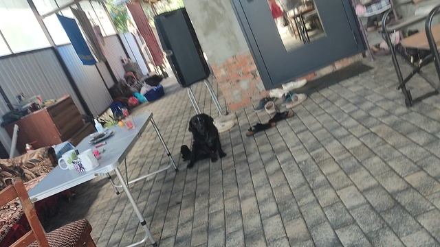 день как мы отвозим детей в садик смотреть онлайн