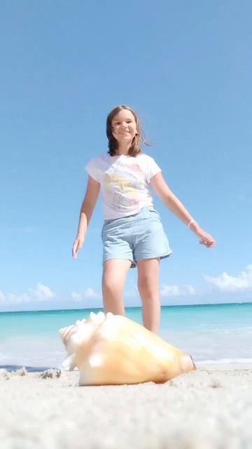🐚🐚🐚 смотреть онлайн