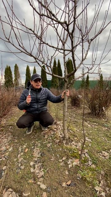 Муравьи. Как с ними бороться смотреть онлайн