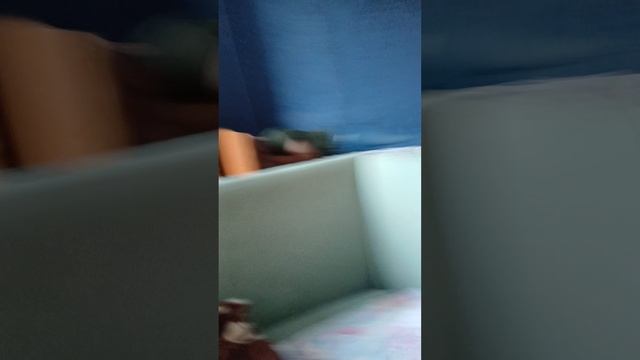 скоро стримы будут смотреть онлайн