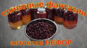 Сливовые фантазии и эксперименты. Автоклав НЕФОР.
