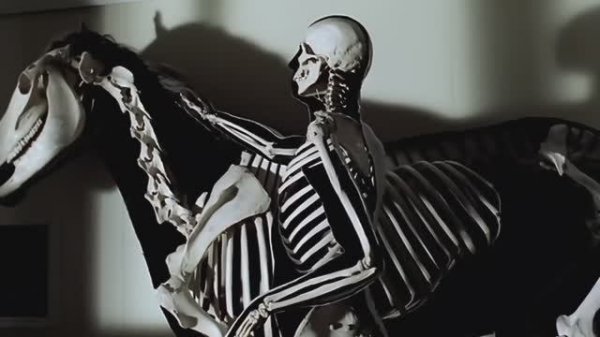 The Chemical Brothers — Hey Boy Hey Girl