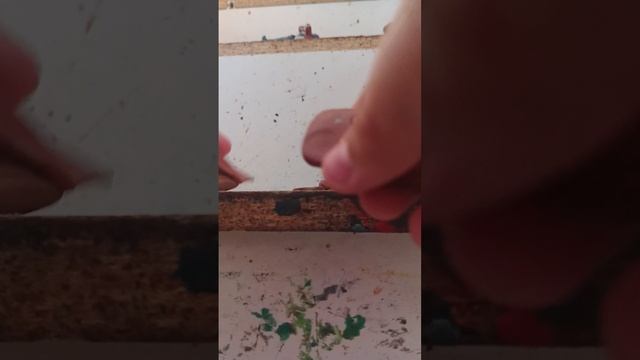 1000012395.mp4 лепим сад из роблокса