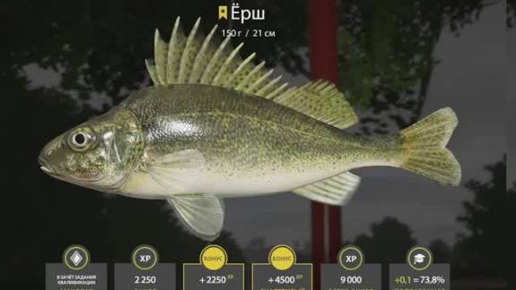 ЕРШ ТРОФЕЙ РУССКАЯ РЫБАЛКА 4 РР4 СЕВЕРНЫЙ ДОНЕЦ