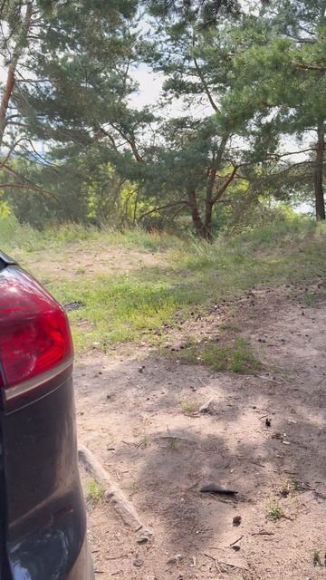 Как собирается на рыбалку мужчина и как женщина смотреть онлайн