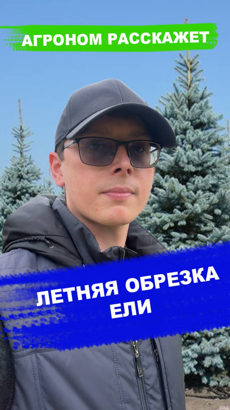 Летняя обрезка Ели смотреть онлайн