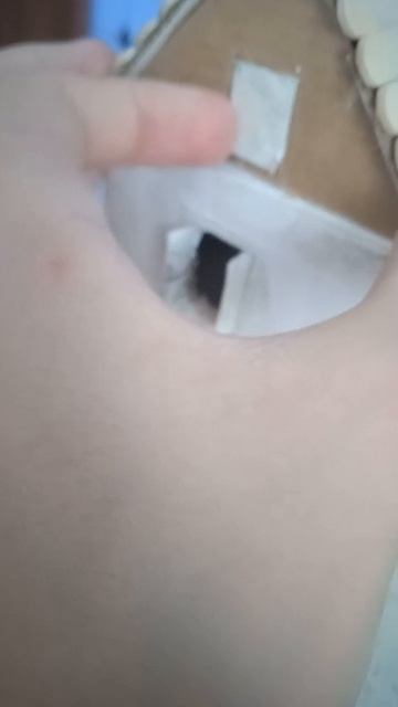 Сельский дом из картона.