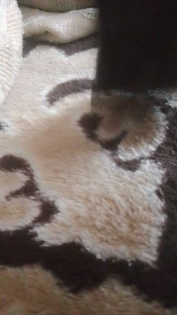 обзор смотреть онлайн