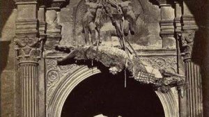 Нашествие крокодилов-людоедов в Великом Новгороде