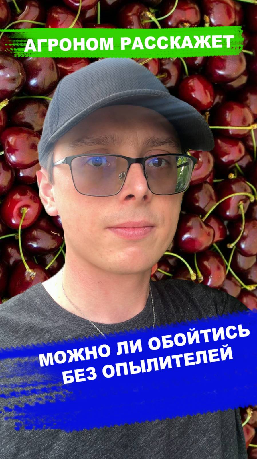 Чем опрыснуть дерево, если нет опылителя, чтобы завязался урожай смотреть онлайн