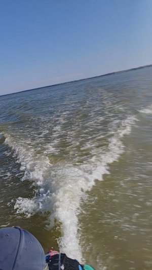 Сап опережает всех на чемпионате РФ по парусному спорту. мотор  Flipsky 70165 сборка под заказ.