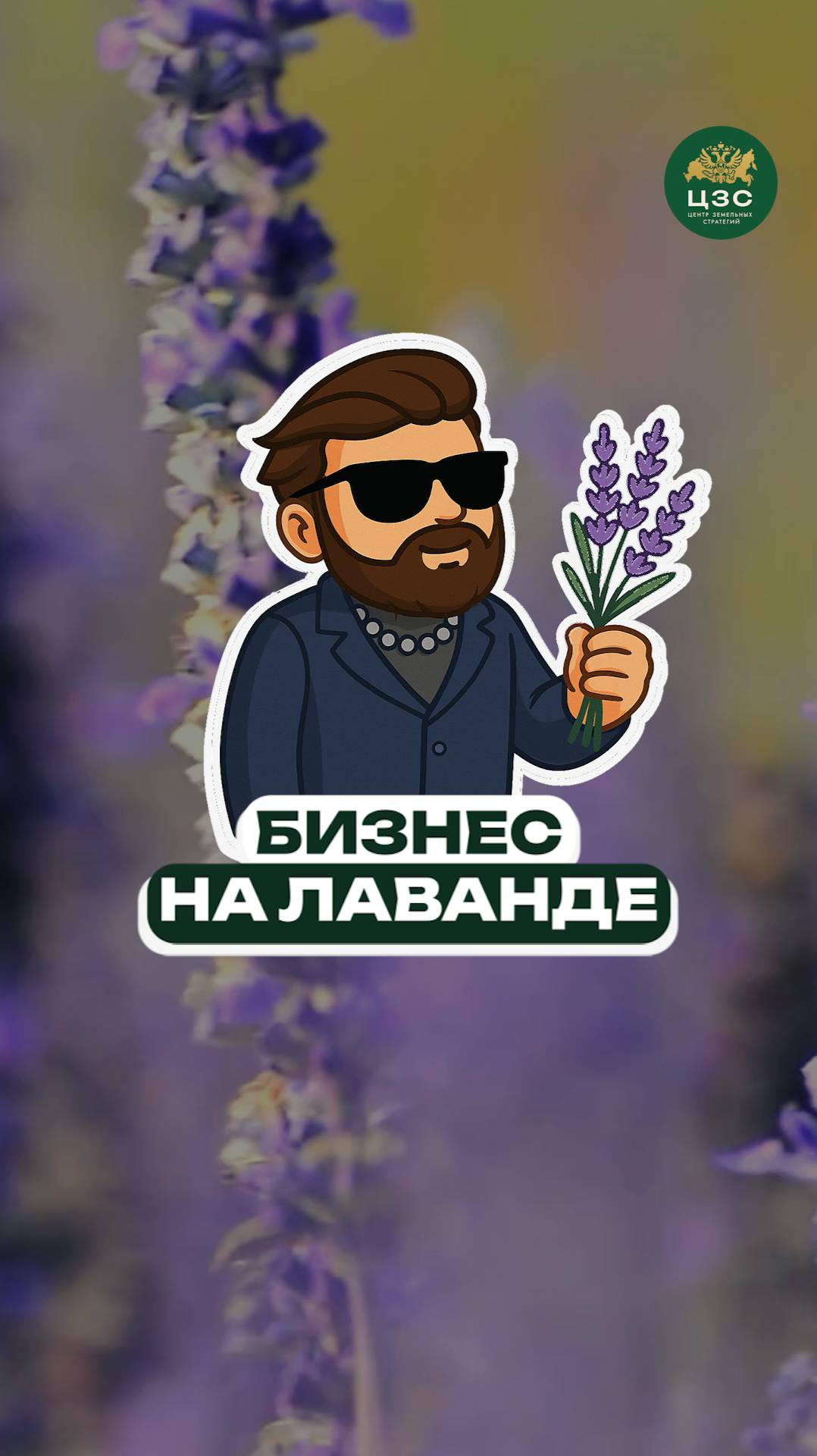 Лавандовое поле за копейки — реально!