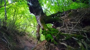 Самые интересные места для Туризма в природе в природе - Путешествия