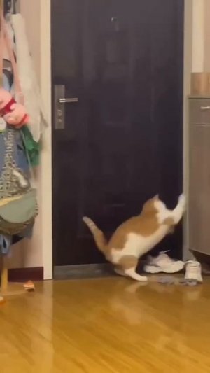 🤣🤣🤣🤣🤣🤣
подписывайтесь на перчик 🌶🌶 тут всё для хорошего настроения ☺☺☺