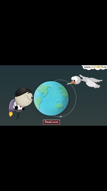 Как перелетные птицы находят свой путь?