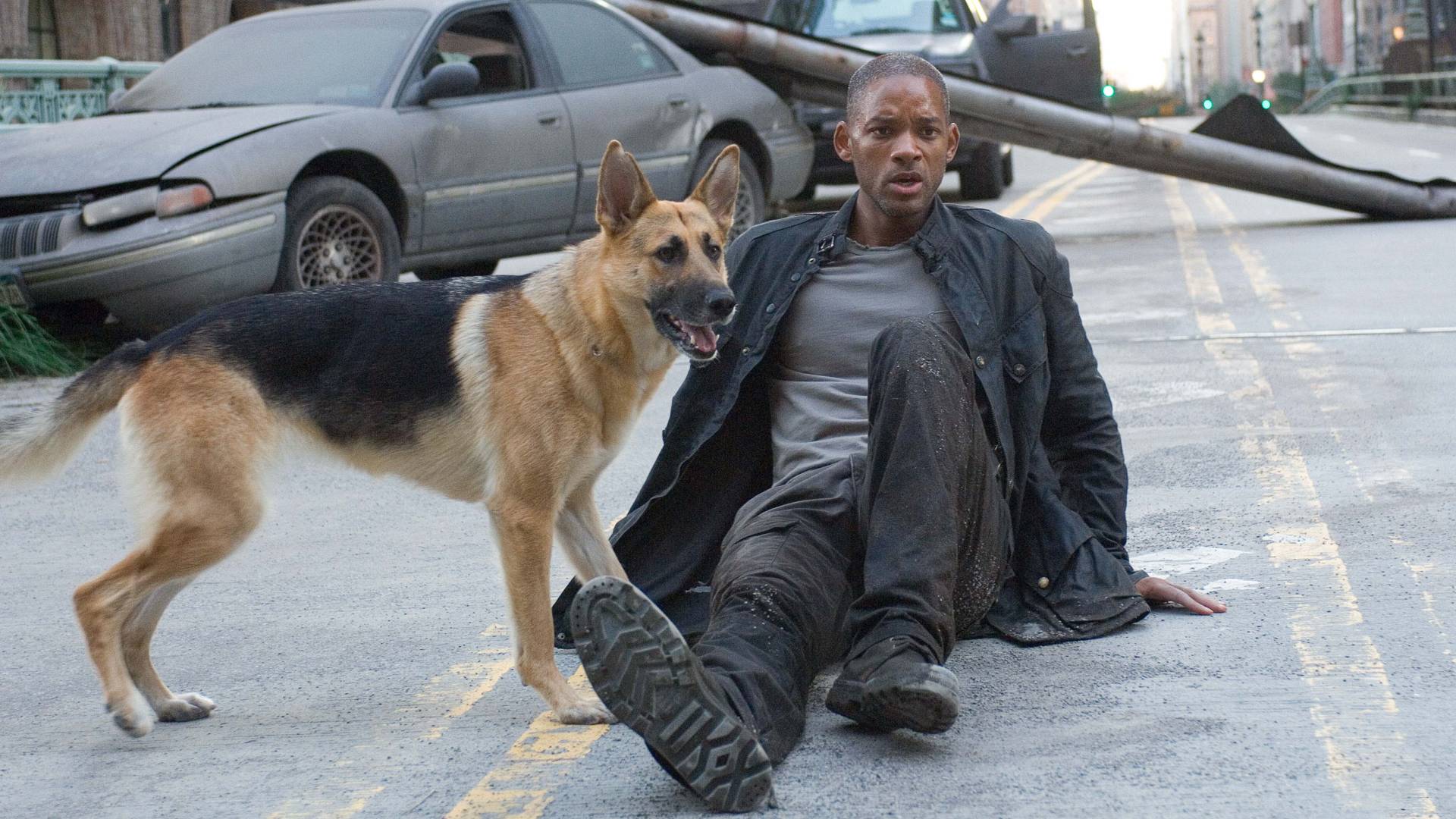 20 ЛУЧШИХ ФИЛЬМОВ ПРО ЗОМБИ АПОКАЛИПСИС смотреть онлайн