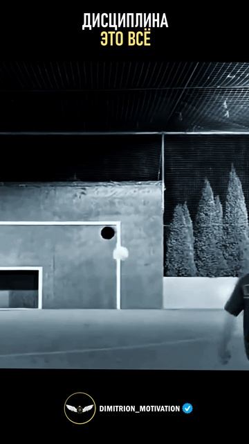 Дисциплина это всё #саморазвитие смотреть онлайн