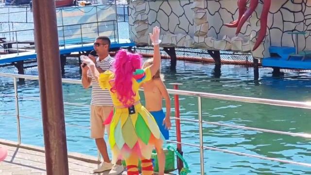 Дельфины и я