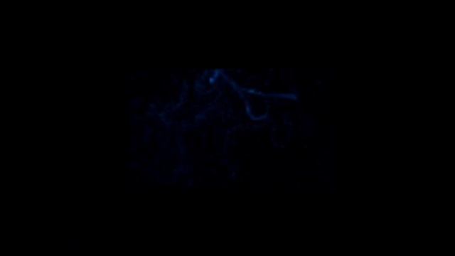 эгеге! у меня теперь есть монтажёр!!!