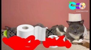 вырезанный фрагмент kotiynet 2025.8.19