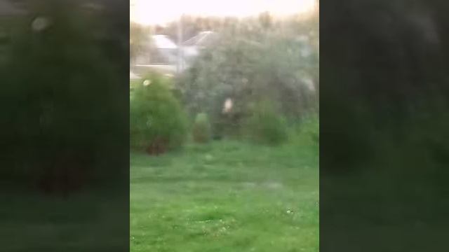 Люди - это травля за два дня, белый вчера черный сегодня