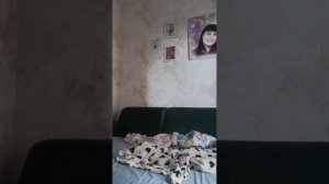 VID_20250827_183524.mp4