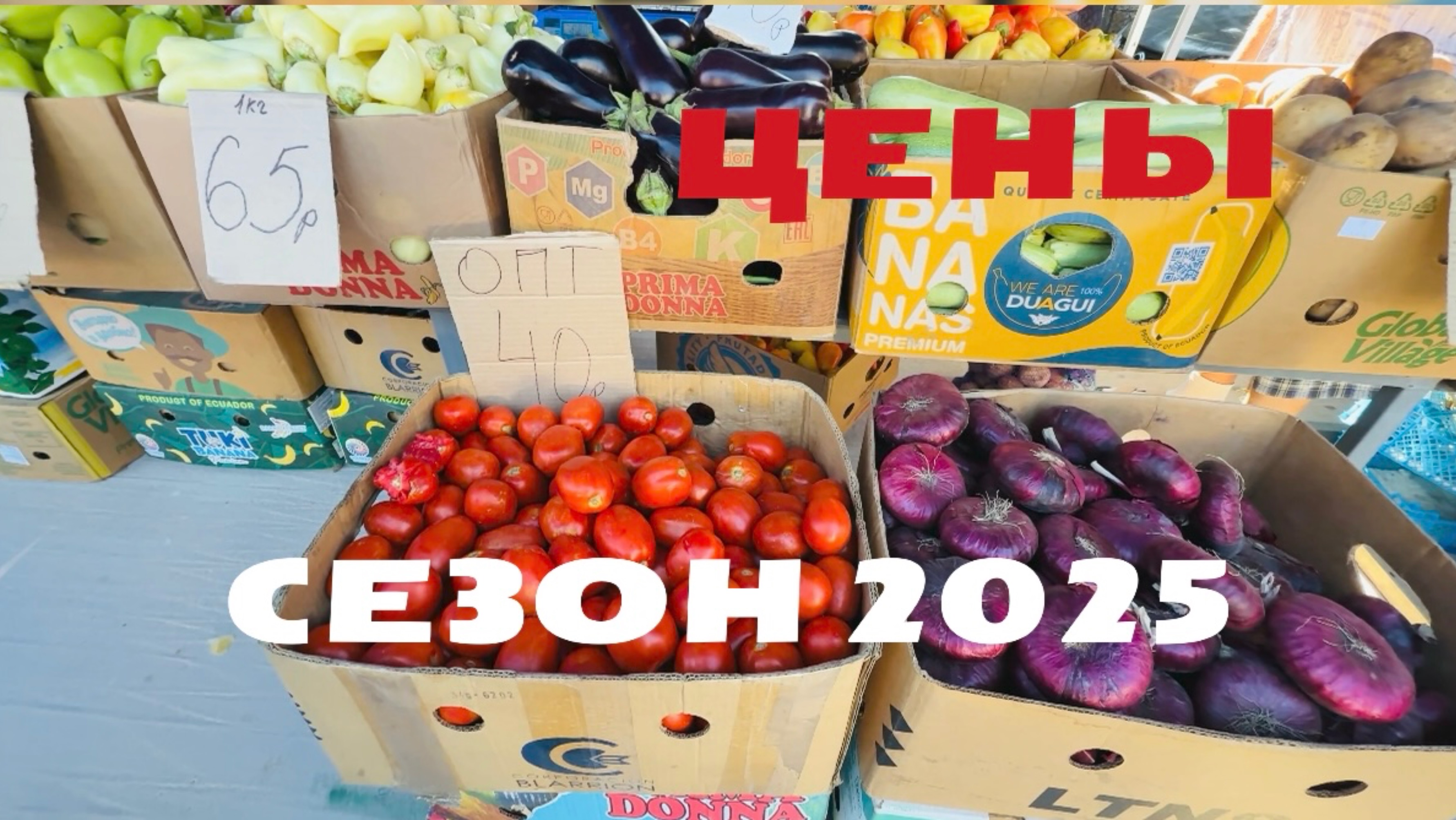 КРЫМ! РЫНОК! КОНЕЦ СЕЗОНА 2025 смотреть онлайн