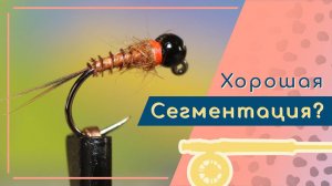 Cегментация - половина успеха при ловле на нимфу. Изготовление нимфы из гусиных биот
