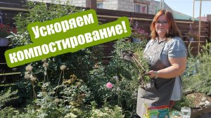 Как ускорить созревание компоста: проверяем 3 способа!