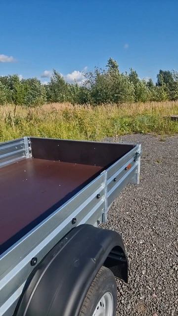 Легковой прицеп МЗСА 817712.022 3х1.5 м. Видео обзор Трейли смотреть онлайн