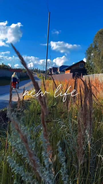 Наша деревня 🌳♥️