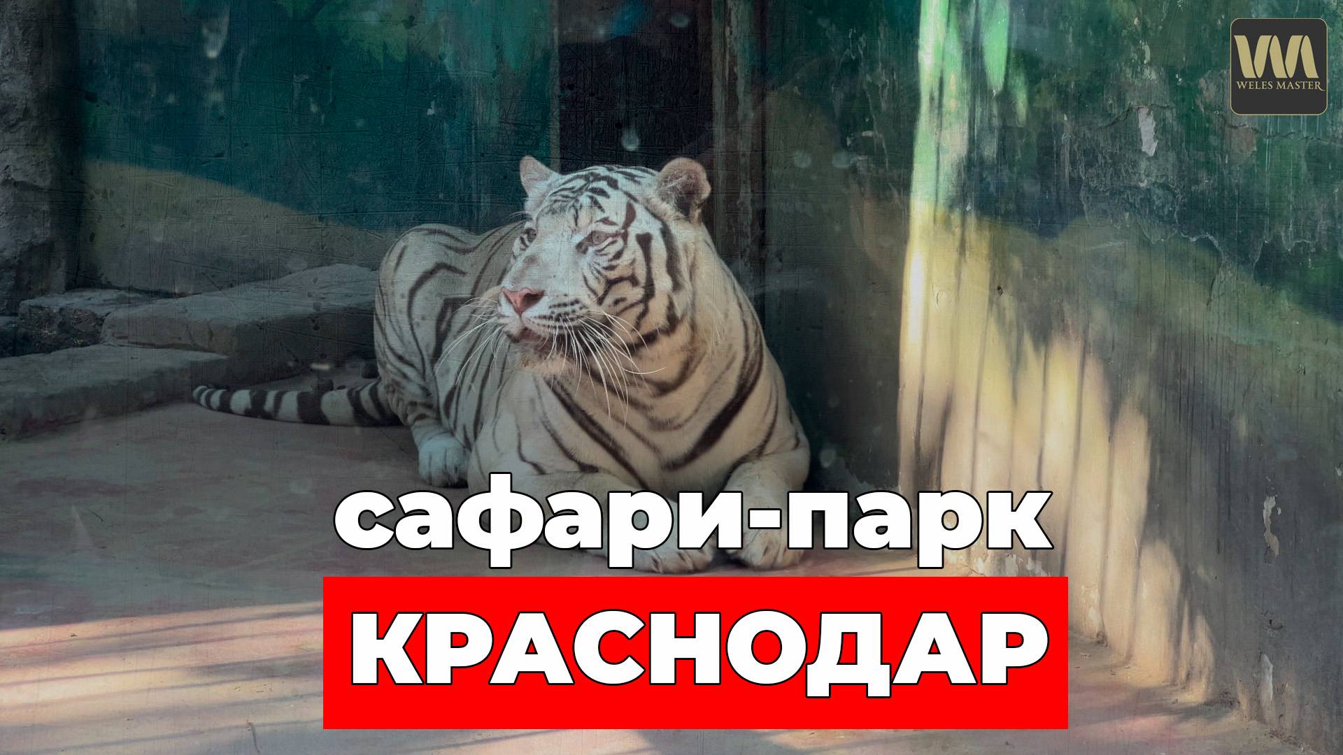 Обзор сафари-парка Краснодар объективно, без лишних комментариев смотреть онлайн