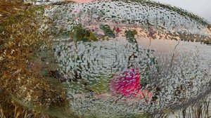 Исток - муз. видео слайд-шоу Н.Шеменковой на стихи В.Глазунова, г.Пенза