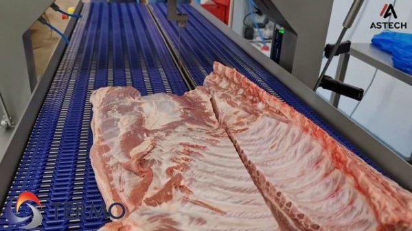 Пила Astech Cc2 H распиловка среднего отруба вдоль