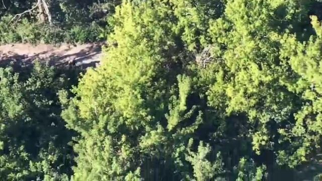 Конвой пленных преступников ВСУ. смотреть онлайн