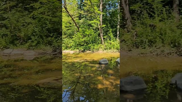 Летняя прогулка. Краснодарский край смотреть онлайн