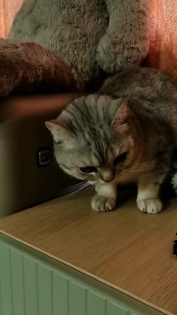 Главное, чтоб человек был хороший!