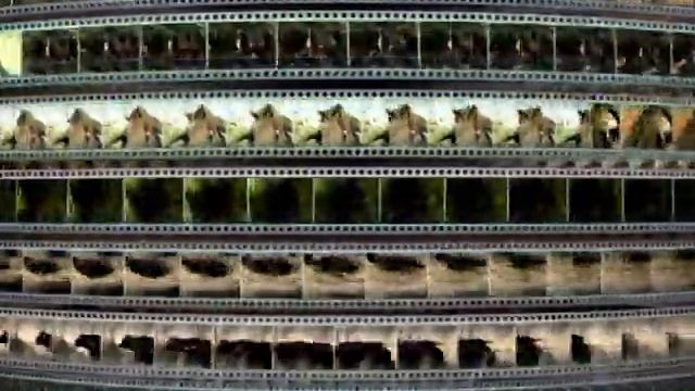 Заставка компании “VOX-Video” (2004-2009) смотреть онлайн