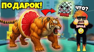 Подарок От Нового Брейнрота Тигрулли ГрейпФруттини? Brainrot Evolution Roblox