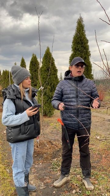 Все про Подвой. Какой выбрать? смотреть онлайн