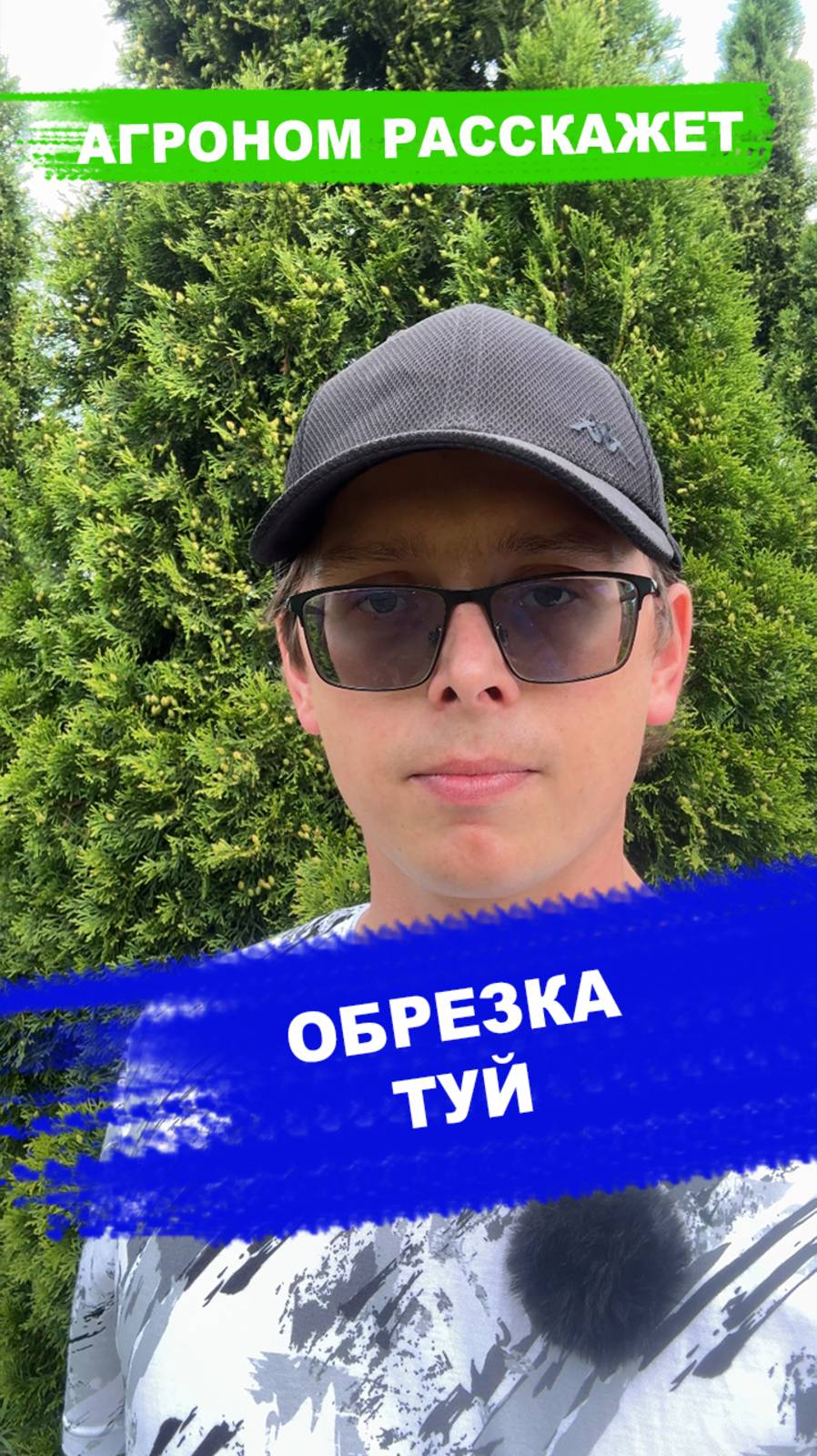 Обрезка туй. Как и когда делать смотреть онлайн