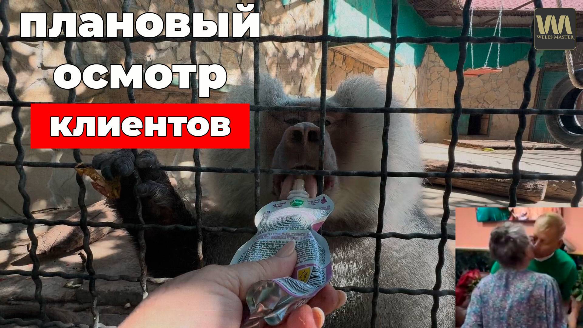 Сегодня плановый осмотр Гамадрило...бов и бабы Юли, 27 августа смотреть онлайн