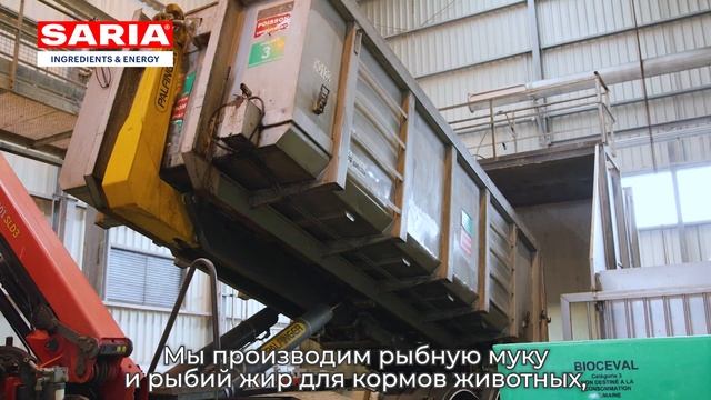 Группа компаний SARIA корпоративный ролик смотреть онлайн