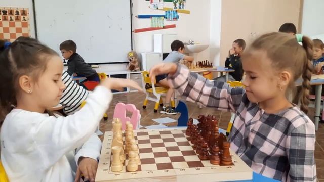 шахматы 2025 в доо 551- Trim